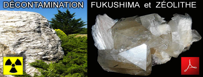 Decontamination_Fukushima_et_Zeolithe_news