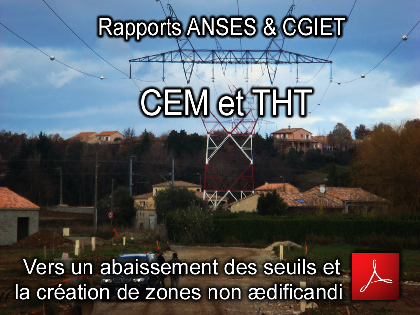 ANSES_CGIET_THT_CEM_BF_Rapports_11_01_2011