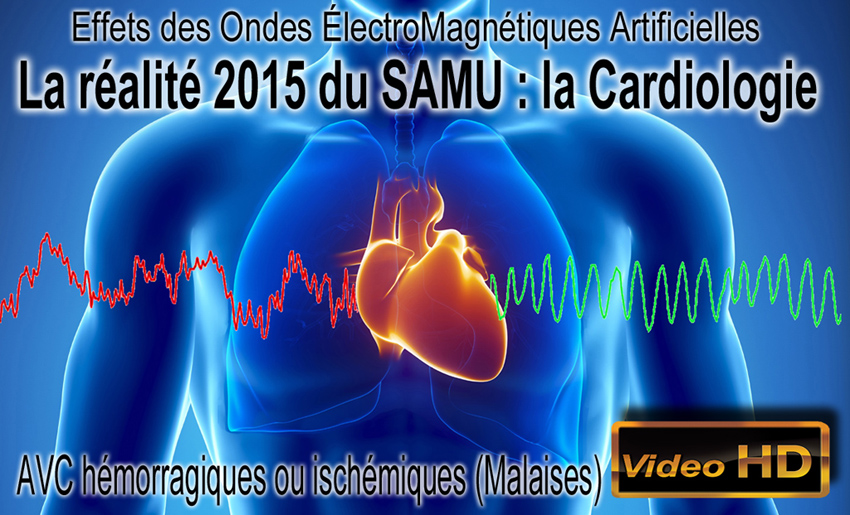 AVC_SAMU_Reportages_850.jpg
