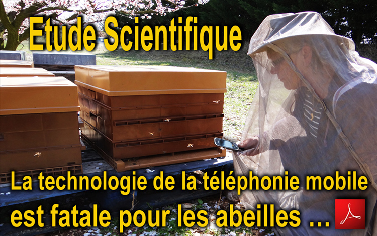 Abeilles_Etude_Scientifique_la_technologie_de_la_telephonie_mobile_est_fatale_pour_les_abeilles_750