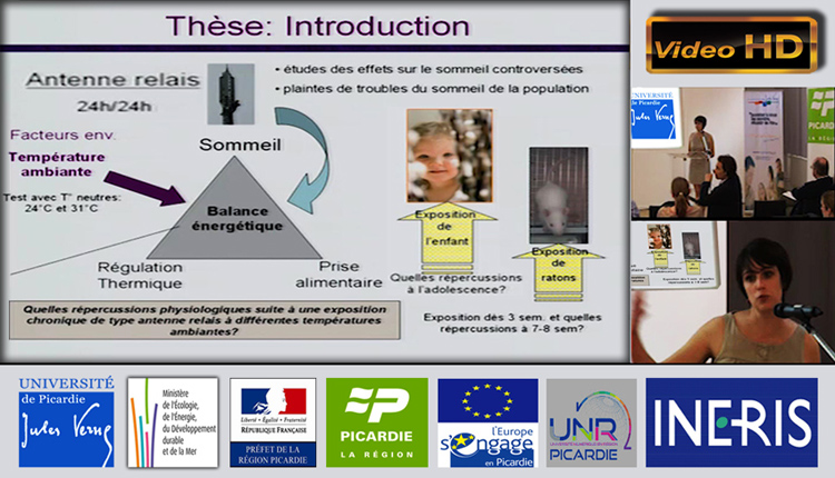 Amandine_Pelletier_Etude_scientifique_Scientific_CEM_INERIS_Flyer_750