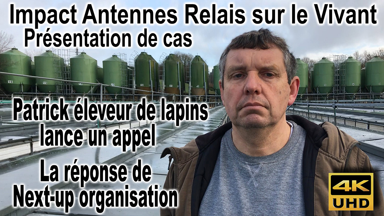 Antennes_relais_impact_lapins_1280.jpg