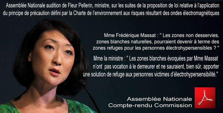 Assemblee_Nationale_Fleur_Pellerin_Compte_rendu_Commission_nr_56_PL_PP_Laurence_Abeille_Flyer_750_12_03_2013