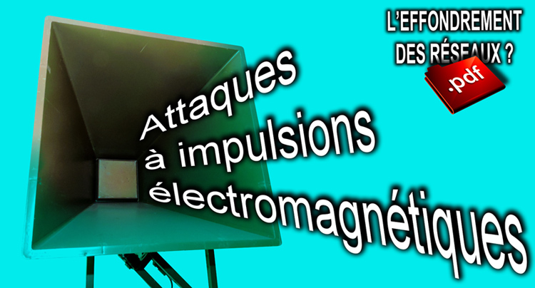 Attaques_a_impulsions_electromagnetiques_09_2014_750_DSCN0571.jpg
