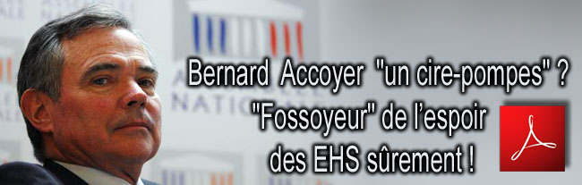 Bernard_Accoyer_et_Antennes_Relais_650