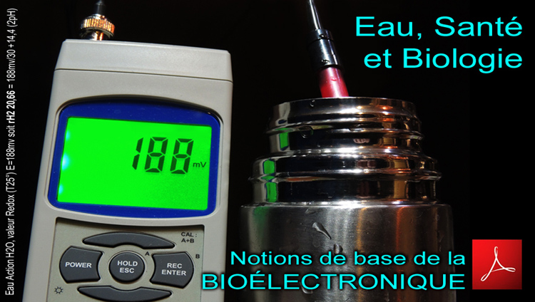 BioElectronique_Notions_de_bases_Memoire_Beatrice_Mercier_750_DSCN9283