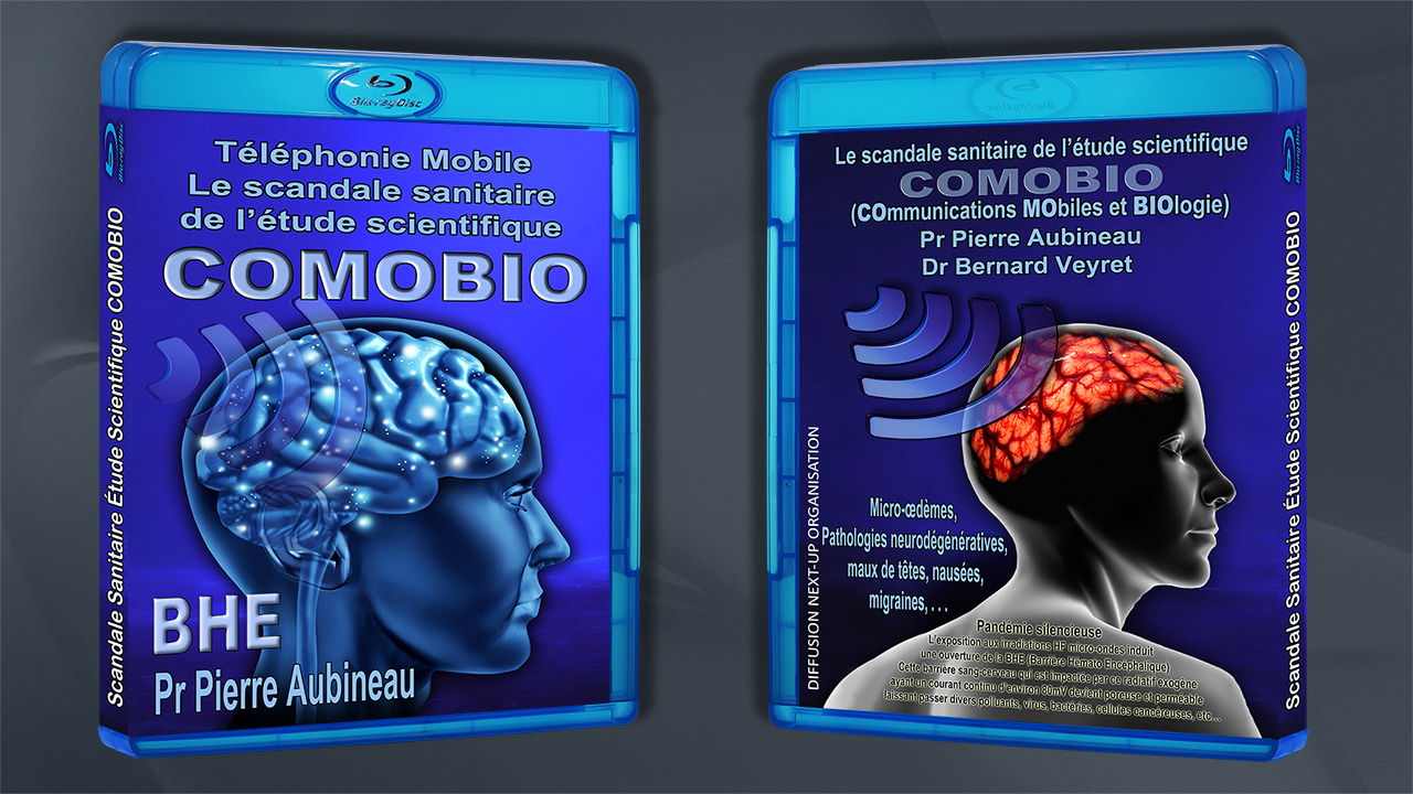 Blu_Ray_COMOBIO_recto_verso_1280_DSCN3350.jpg