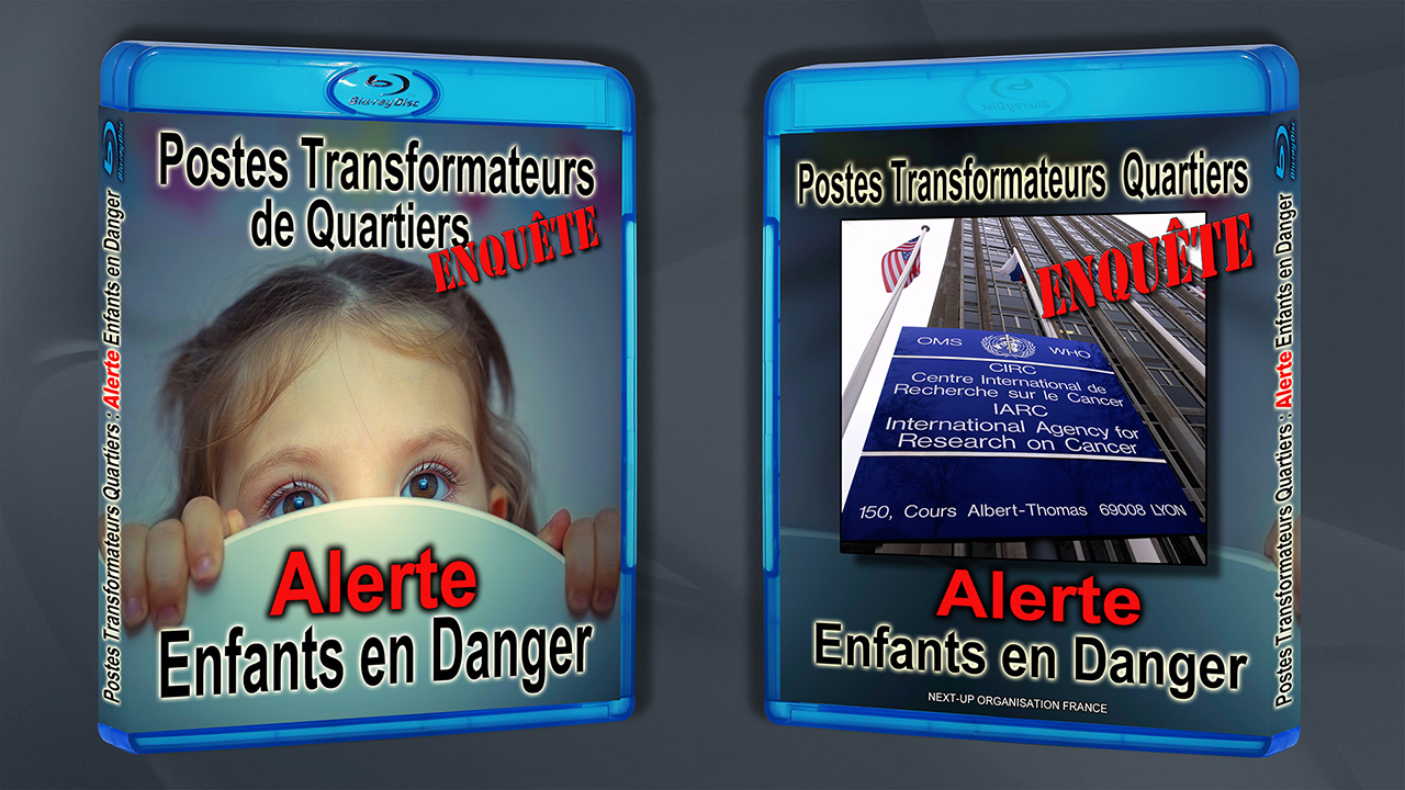 Blu_Ray_Postes_Transformation_recto_verso_1280_DSCN3350.jpg