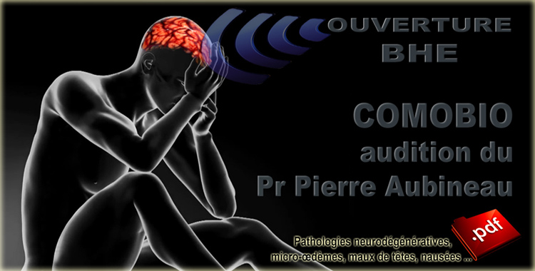 COMOBIO_BHE_Audition_Pr_Pierre_Aubineau_AFSSE_750.jpg