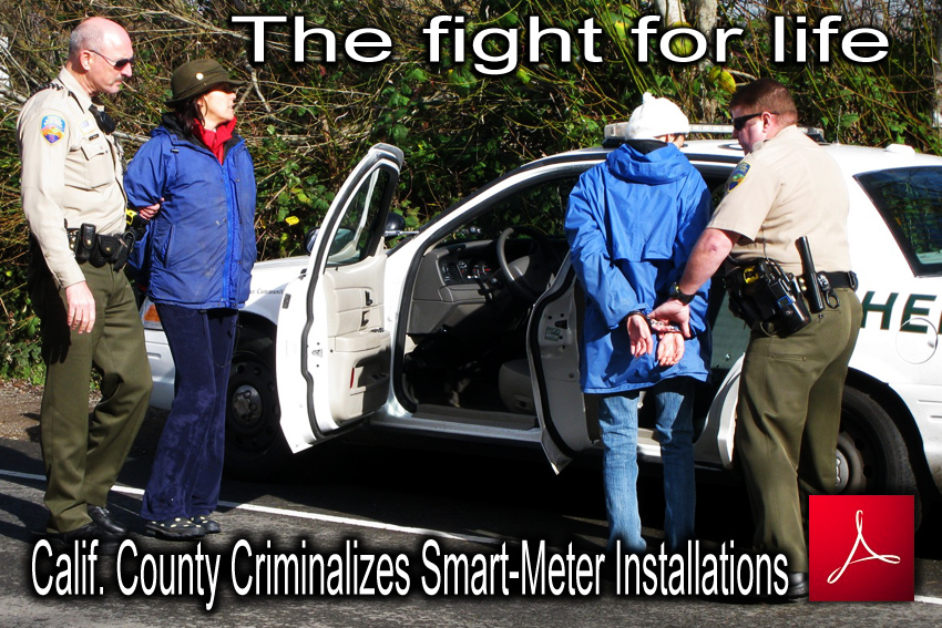 Calif_County_Criminalizes_Smart_Meter_Installations_news_TNYT_05_01_2010