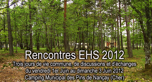 Camping_des_Pins_Nancay_IMGP0033_News