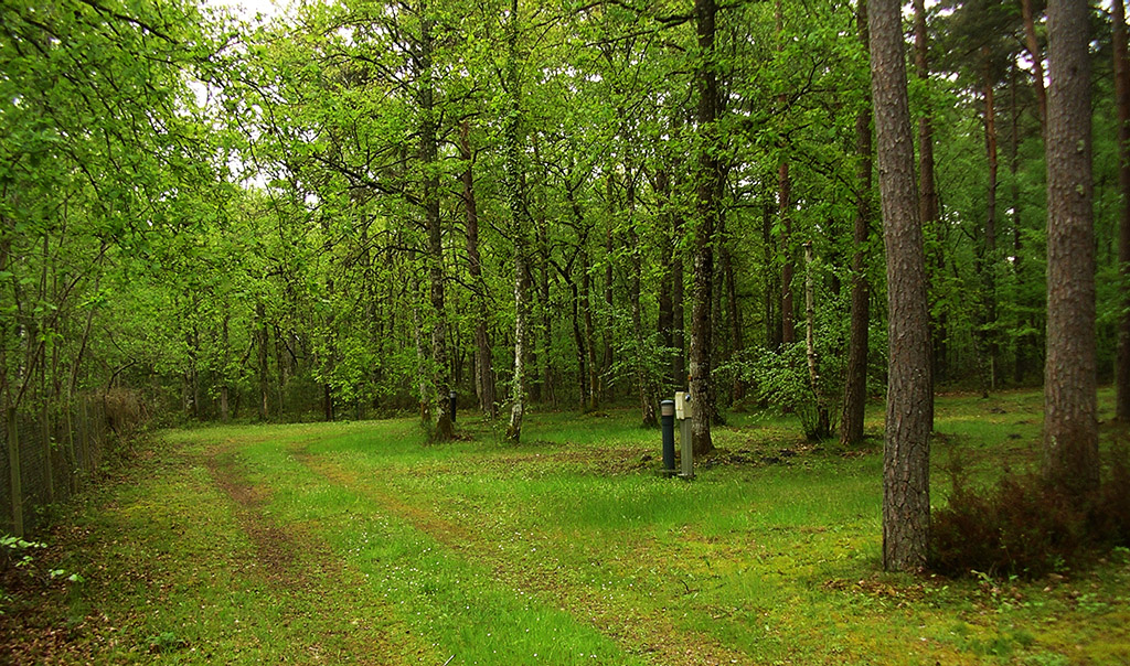 Camping_des_Pins_Nancay_IMGP0034