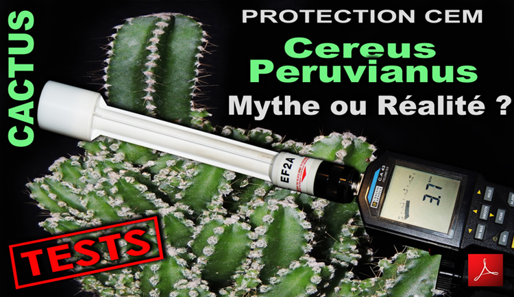 Cereus_Peruvianus_Protection_CEM_Mythe_ou_Realite_Mesures_750_DSCN8775.