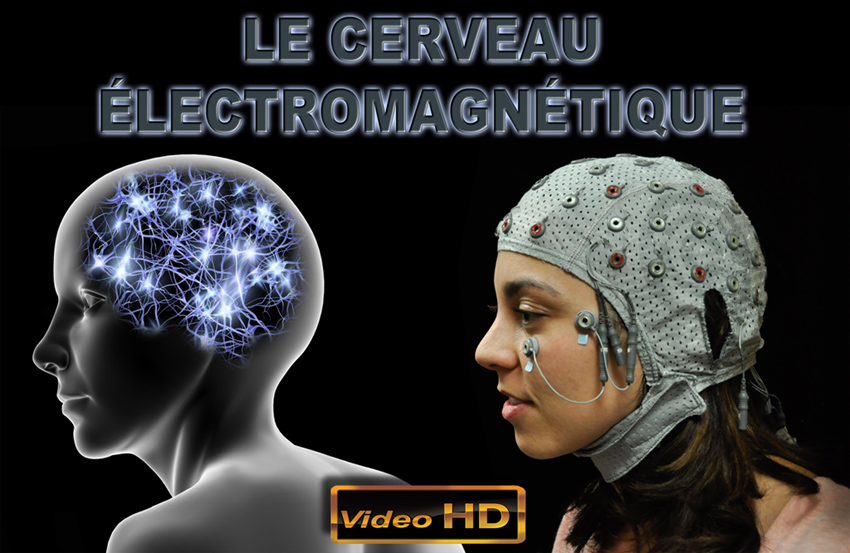 Cerveau_Electromagnetique_850.jpg