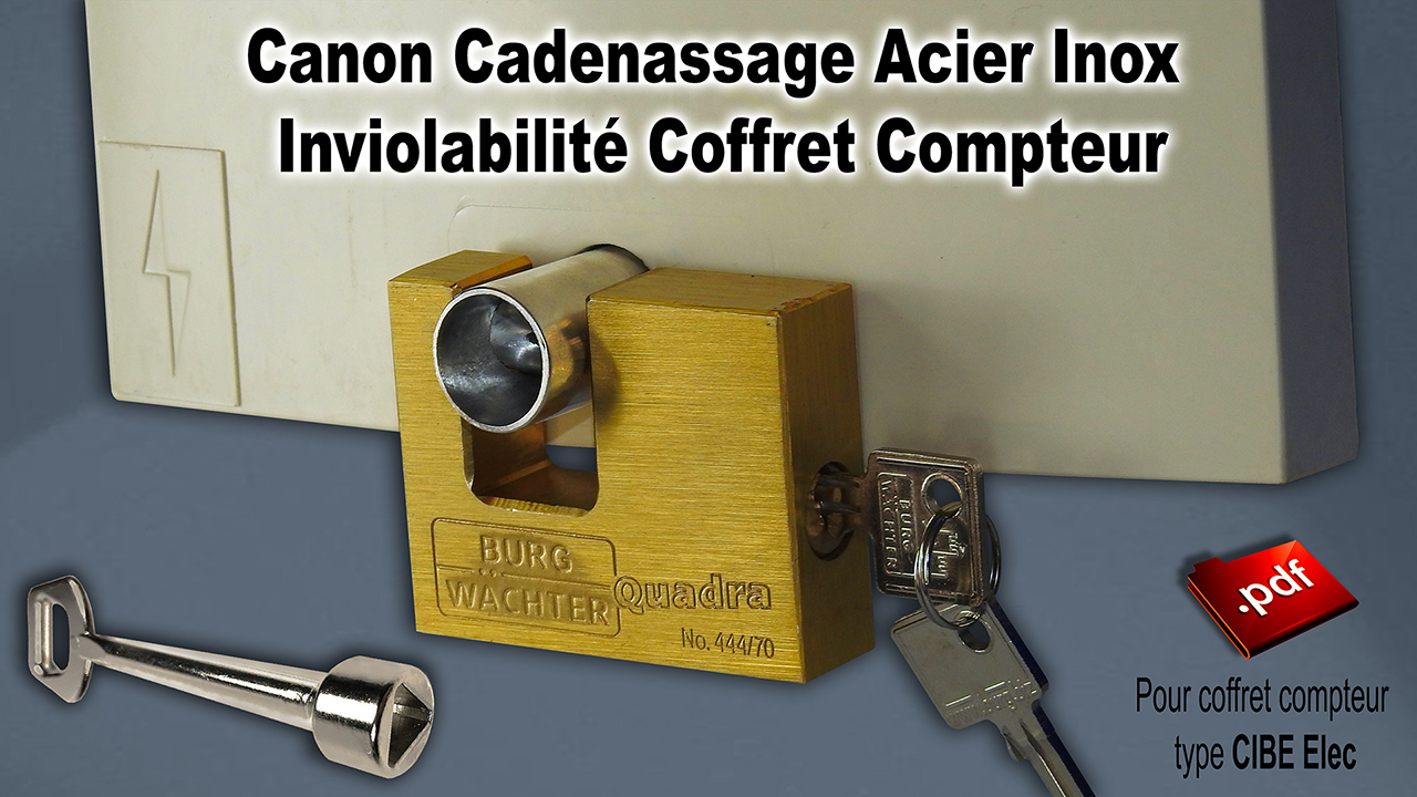 Coffret_porte_CIBE_Elec_EDF_1280_DSCN0993.jpg