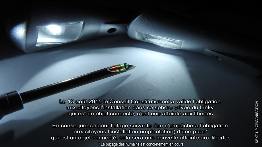 Conseil_Constitutionnel_Puce_seringue_850_v2_DSCN2031.jpg