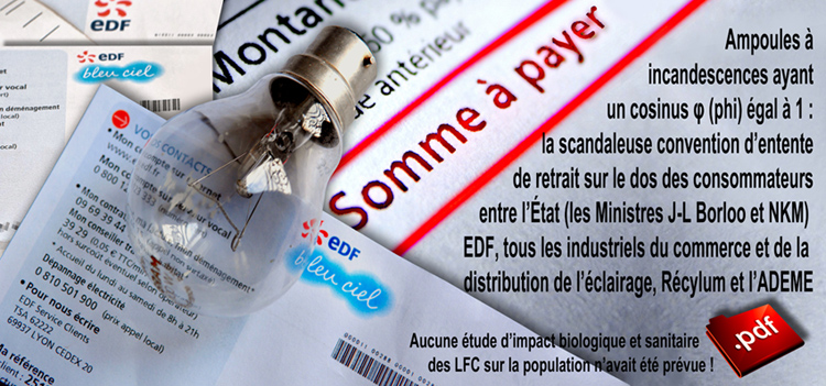 Convention_Etat_Industriels_Distristributeurs_EDF_ADEME_Retrait_vente_ampoules_incandescences_flyer_750_23_10_2008.jpg