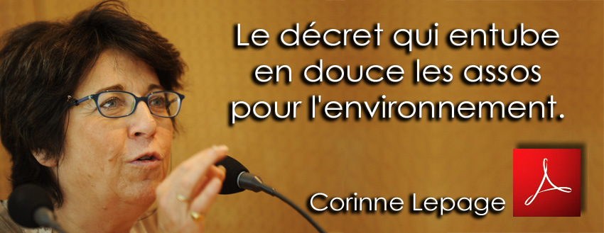 Corinne_Lepage_Rue_89_Le_decret_qui_entube_en_douce_les_assos_pour_l_environnement_22_07_2011