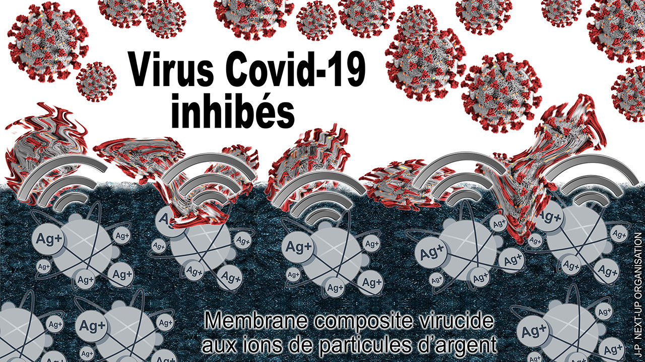 Covid_19_inhibition_par_ions_argent_1280.jpg