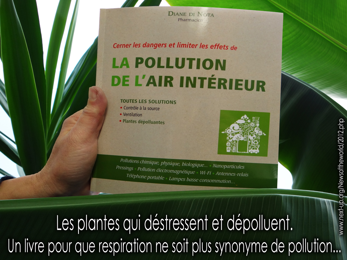 Diane_Di_Nota_La_pollution_de_l_air_interieur_Le_Courrier_du_Livre