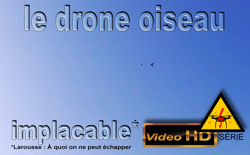 Drone_oiseau_demo_850.jpg