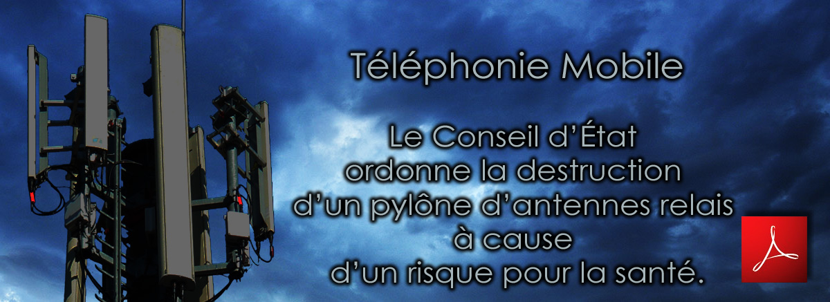 Drongen_Le_Conseil_d_Etat_ordonne_la_destruction_d_un_pylone_d_antennes_relais_a_Drongen_a_cause_d_un_risque_pour_la_sante_30_08_2011