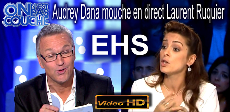 EHS_Audrey_Dana_mouche_Laurent_Ruquier_en_direct_On_n_est_pas_couche_flyer_750.jpg