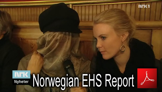 EHS_Debate_Norvegien_Parliament_Report_NRK_15_01_2011