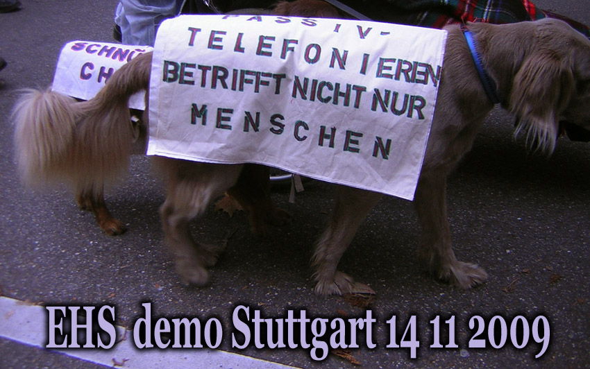 EHS_Demo_in_Stuttgart_14_11_2009_28
