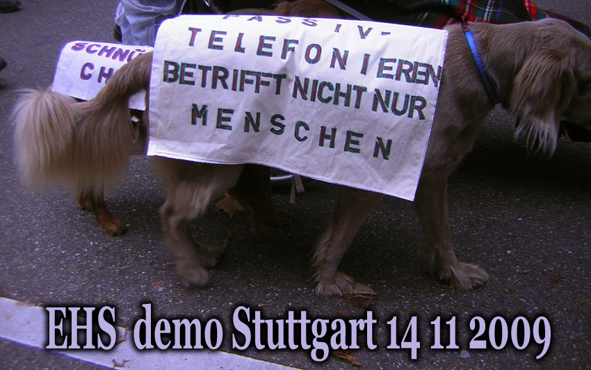 EHS_Demo_in_Stuttgart_14_11_2009_28