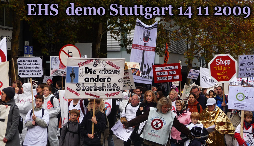 EHS_Demo_in_Stuttgart_14_11_2009_29