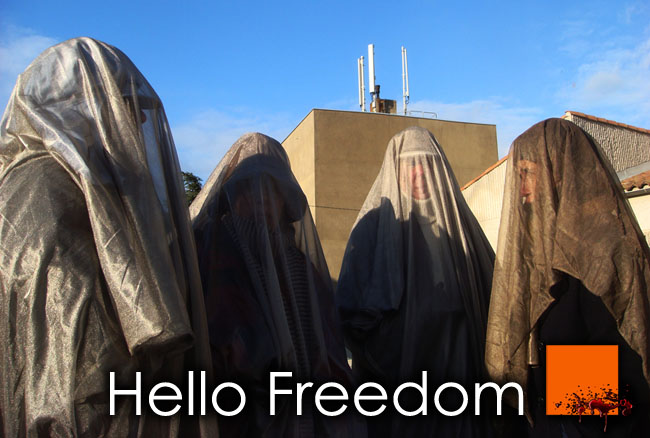 EHS_Hello_Freedom_Veil_Voile_Protection_CEM_EMF_France_News