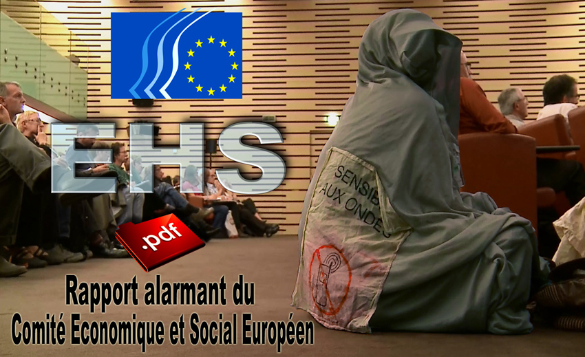EHS_Rapport_Comite_Economique_et_Social_Europeen_850_28_11_2014.jpg