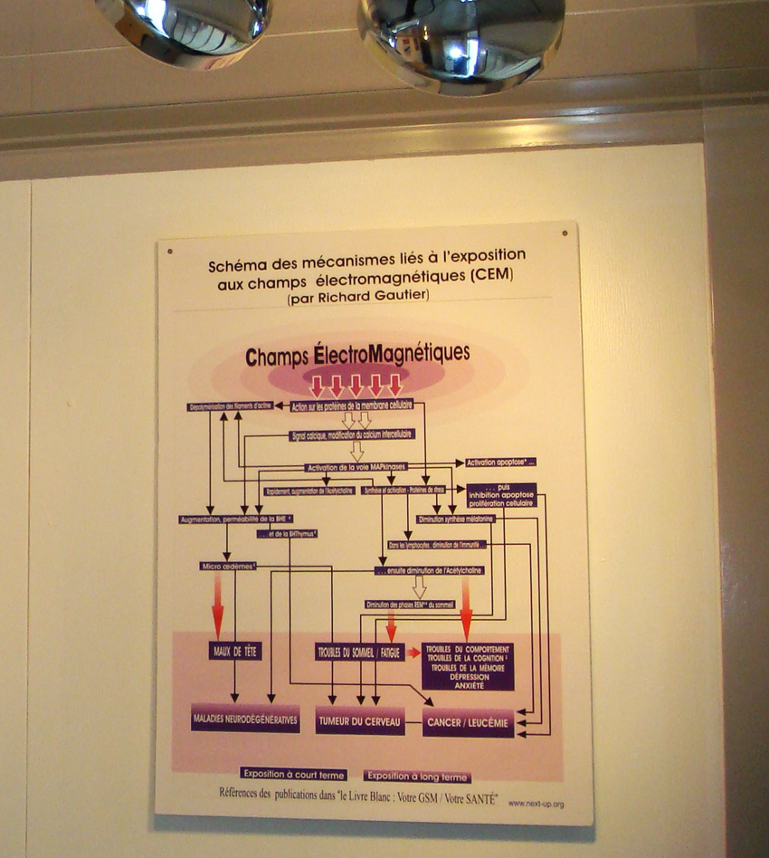 EHS_Refuge_Zone_Faraday_cage_view_poster_Mechanisms_linked_to_exposure_EMF_meeting_room