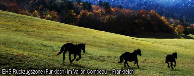 EHS_Ruckzugszone_im_Vallon_Combeau_Frankreich_23_10_2010