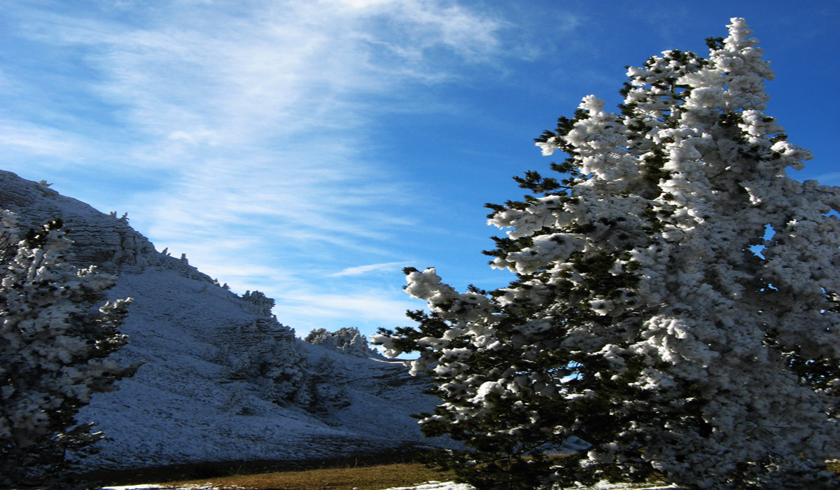 EHS_Vallon_Combeau_Drome_France_IMG_3662