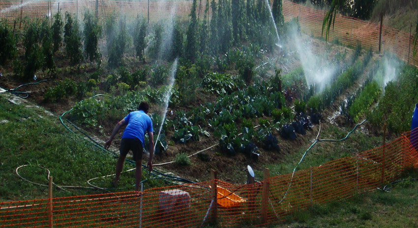 EHS_Zone_Refuge_Jardin_Potager_Bio_irrigation_27_07_2010