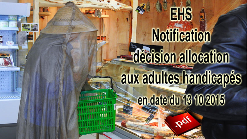 EHS_magasin_bio_MDPH_850_DSCN4108.jpg