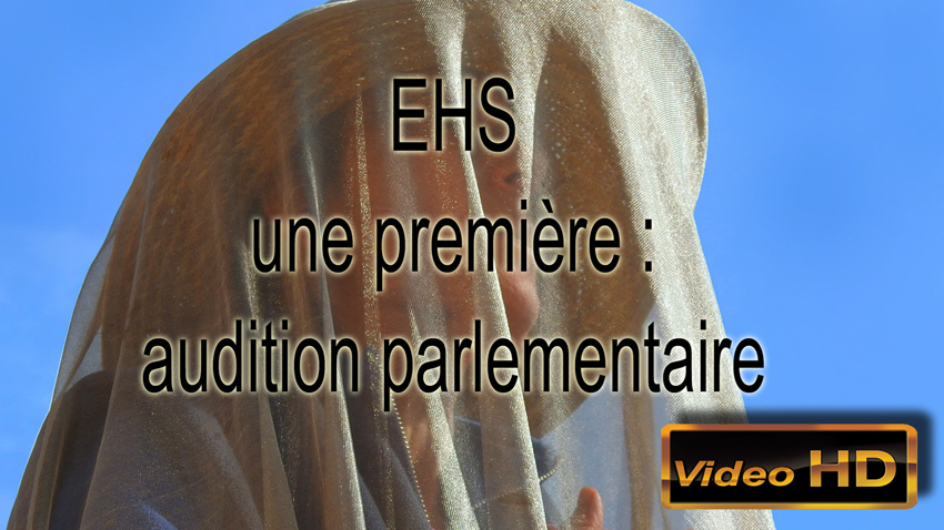 EHS_une_premiere_audition_parlementaire_850_DSCN4047.jpg