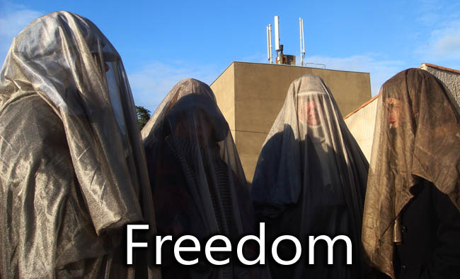 EMF_protection_Veil_Freedom_27_11_2010_news