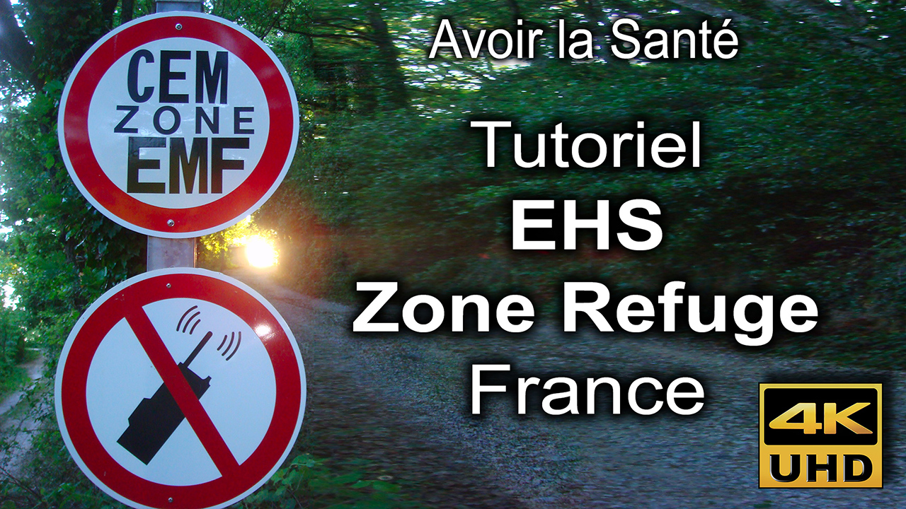 Entree_EHS_Zone_Refuge_Flyer_1280_DSC09996.jpg