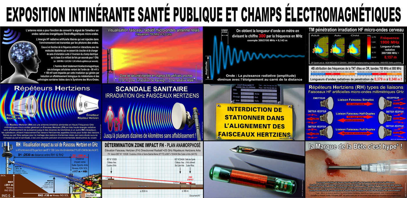 Exposition_Sensibilisation_Presentation_12_Panneaux_1340x740.jpg