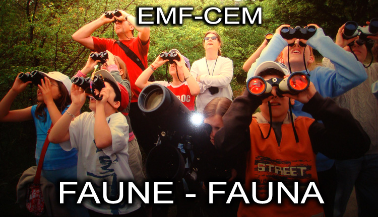Faune_Fauna_CEM_EMF