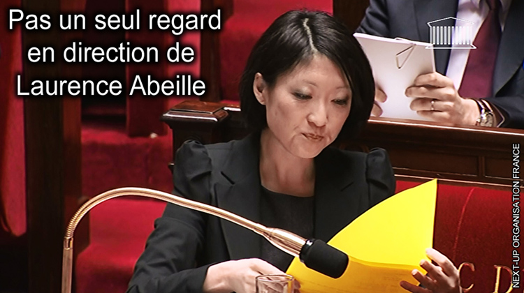 Fleur_Pellerin_intervention_Laurence_Abeille_Assemblee_Nationale_PPL_ondes_electromagnetiques_750