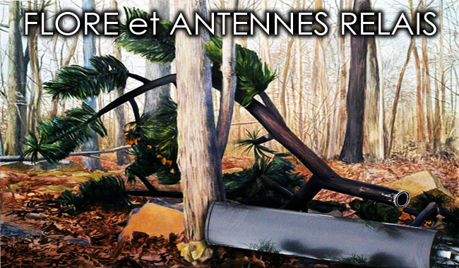 Flore_antennes_relais_Flyer