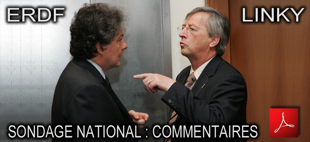 Flyer_Sondage_National_Linky_Thierry_Breton_Ex_Ministre_des_Finances_Photo_archives