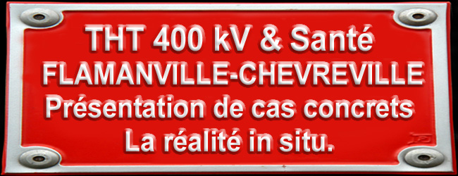 France2_THT_et_Sante_Presentation_de_Cas_Flamanville_Chevreville_30_01_2012_news