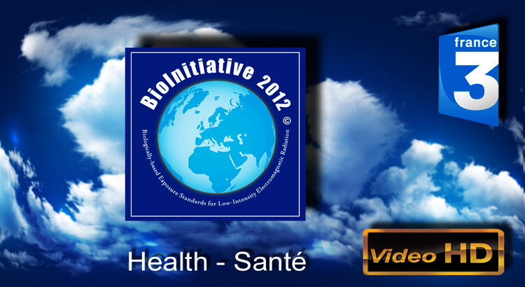 France_3_Bioinitiative_2013_Cindy_Sage_Flyer_750_08_01_2013