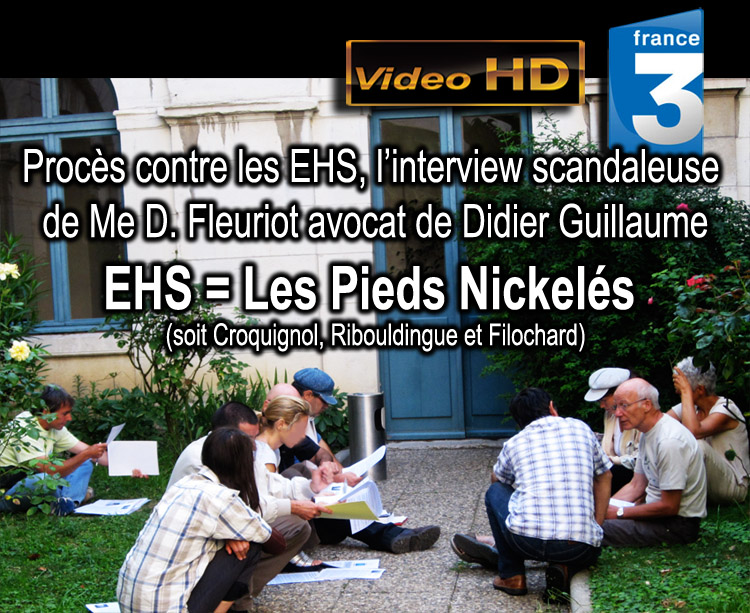 France_3_Proces_contre_les_EHS_Interview_scandaleuse_Me_D_Fleuriot_avocat_Didier_Guillaume_21_07_2010