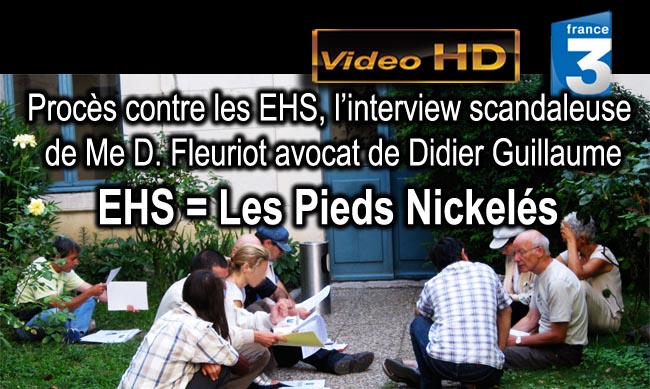 France_3_Proces_contre_les_EHS_Interview_scandaleuse_Me_D_Fleuriot_avocat_Didier_Guillaume_21_07_2010_news